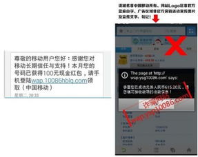 《Q2移動安全報告深度解讀 支付安全問題高居榜首，網絡安全軟件開發迎來新挑戰與機遇》